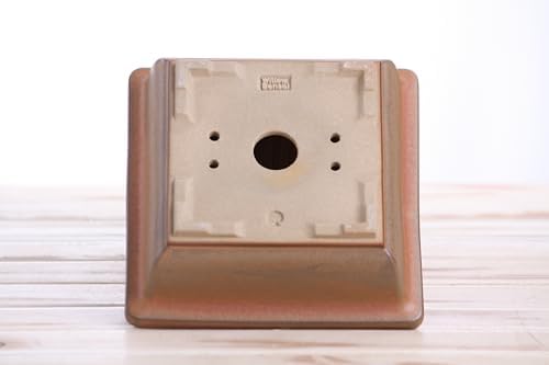 Willow Bonsai Ceramics Square Bonsai Pot 6 Inch – Low‑Profile Square Ceramic Bonsai & Succulent Pot with Accentuated Rim, High‑Fired Frost‑Proof Stoneware, Handmade in USA (Deep Stone, 6inch) - Image 6