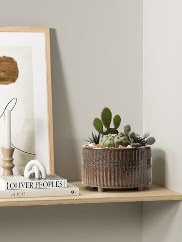 LE TAUCI Succulent Pots, 6.5+8 Inch Ceramic Pots for Plants Indoor, Shallow Round Succulent Planters with Drainage Hole, Set of 2, Reactive Glaze Black - Image 4