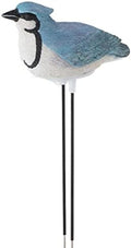 Haofy Soil Meter Hygrometer Sensor with Water Warning Alert (Blue) by Haofy