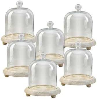 Serene Spaces Living Curio Glass Dome with Natural Wooden Base, Airplants, Flower, Accessories, Photos, Candles, Dessert Display, Home, Office Decor, Gift Idea - 8" Diameter & 9.25" Tall, Pack of 6 by SereneSpacesLiving