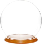 Plymor 7.5" x 8.5" Glass Display Dome Globe Cloche (Oak Veneer Base), Pack of 4 by Plymor