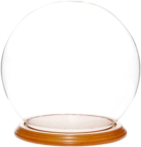 Plymor 7.5" x 8.5" Glass Display Dome Globe Cloche (Oak Veneer Base) by Plymor