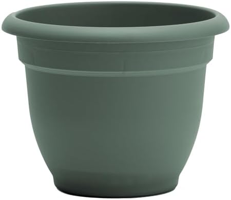 Bloem Ariana 12" Plastic Self-Watering Planter, Basil, 2-Pack - Image 7