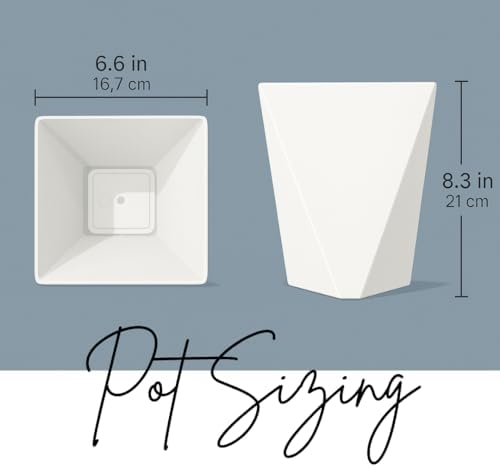 CZ Grain Modern White Geometric Tapered Planter | Minimalist Design for Succulents, Herbs & Small Plants | Hostess, Holiday or Coworker Gift | Indoor Flower Pot | Designer Aesthetic 6.6"x8.3" (3) - Image 2
