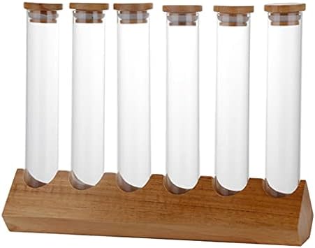 Cereals Canister Test Tubes with Sealed Wooden Caps Plant Propagation Glass Containers for Coffee and Tea Display and Scientific Experiments (6 Tubes) by Duiaynke