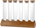 Cereals Canister Test Tubes with Sealed Wooden Caps Plant Propagation Glass Containers for Coffee and Tea Display and Scientific Experiments (6 Tubes) by Duiaynke