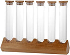 Cereals Canister Test Tubes with Sealed Wooden Caps Plant Propagation Glass Containers for Coffee and Tea Display and Scientific Experiments (6 Tubes) by Duiaynke