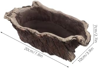 Vintage Creative Cement Tree Root Planter for Indoor Succulents - Image 2