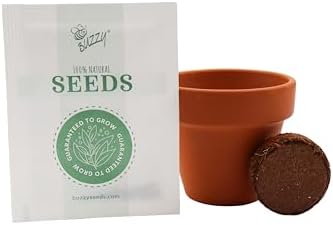 BUZZY Seeds Poppy Grow Kit 12-Pack, Mini Terracotta Pots, Indoor/Outdoor - Image 4