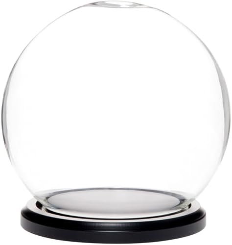 Plymor 6" x 7" Glass Display Dome Globe Cloche (Black MDF Wood Base), Pack of 8 by Plymor
