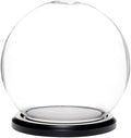 Plymor 6" x 7" Glass Display Dome Globe Cloche (Black MDF Wood Base), Pack of 2 by Plymor