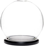 Plymor 6" x 7" Glass Display Dome Globe Cloche (Black MDF Wood Base), Pack of 2 by Plymor