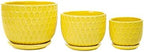Yellow Ceramic Flower Pots with Saucers, Modern Round Ceramic Succulent Plant Pots with Honeycomb Inspired Texture Design, Small to Medium Sized, Set of 3 - Image 5
