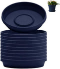 Bloem Terra Plastic Saucer Tray for 6" Terra Planters, Navy, 10-Pack by Bloem