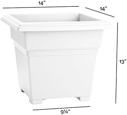 Root & Vessel Countryside Square Tub Planter, White, 14-Inch - Image 2