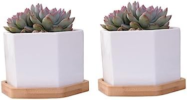 White Ceramic Hexagonal Succulent Pots Set of 2 with Bamboo Tray - Image 2