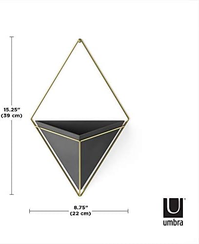 Umbra Trigg Wall Display, Large Geometric Planter Vessel, Black/Brass - Image 3