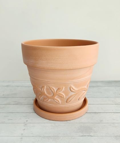 8" Embossed Whitewashed Terracotta Planter with Drainage Hole & Saucer, Rustic Style Unglazed Terracotta Pot for Indoor & Outdoors Plants - Image 4