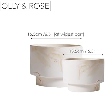 Olly & Rose White with Beige Streaks Ceramic Plant Pot Set 2-16.5,13.5cm Medium Plant Pots Outdoor and Indoor - White Planters - Flower Pots - Image 5