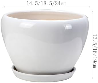PAYAER Modern White Ceramic Plant Pot Set, Round Indoor/Outdoor Flower Pots with Saucers, Decorative Plant Container for Cactus, Succulents, Garden, Balcony, and Office Decor(25CM) - Image 7