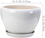 PAYAER Modern White Ceramic Plant Pot Set, Round Indoor/Outdoor Flower Pots with Saucers, Decorative Plant Container for Cactus, Succulents, Garden, Balcony, and Office Decor(25CM) - Image 7