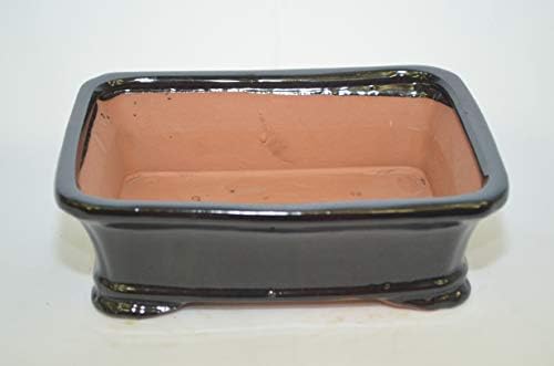 Bonsai Ceramic Pot 8", Black Color, Glazed with draining Holes. - Image 2