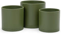 D'vine Dev 3-Pack Plastic Pots & Saucers, 6/6.5/8 in, Olive, 74-V-I-3 by DvineDevPlanterPotsandStand