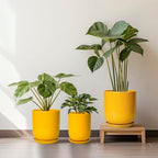 12 Inch Pots for Plants - Ceramic Planter for Outdoor Plants Large Plant Pot Indoor with Drainage Hole Modern Flower Pot for Home Patio Office Decor Yellow - Image 6