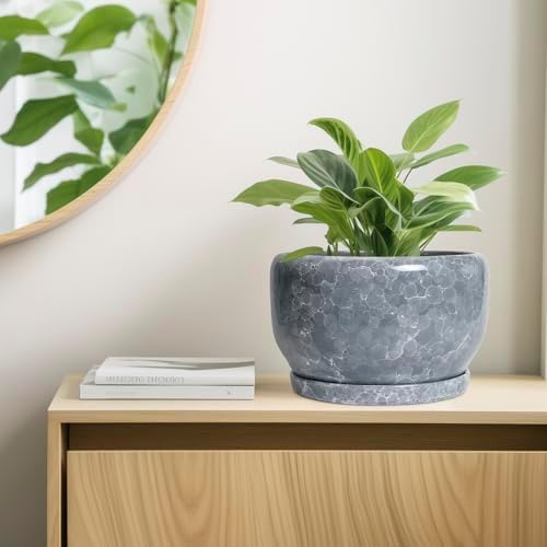 SQOWL Ceramic Pot for Plants - 10 Inch Plant Pot Indoor with Drainage Hole and Saucer, Round Ceramic Planter, Decorative Large Flower Pot Outdoor, Home Office Room Decor, Garden Gifts, Gray - Image 7