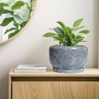 SQOWL Ceramic Pot for Plants - 10 Inch Plant Pot Indoor with Drainage Hole and Saucer, Round Ceramic Planter, Decorative Large Flower Pot Outdoor, Home Office Room Decor, Garden Gifts, Gray - Image 7