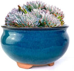 8 Inch Succulent Pot with Drainage and Saucer Glazed Terracotta Round Ceramic Succulent Planter Cactus Bonsai Plant Pot (Dark Green) by SUMMERIMPRESSIONS