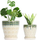 Ceramic Planter Pots for Indoor Plants, 8Inch + 6 Inch Plant Pot with Drainage Holes, Saucers and Mesh Pads, Succulent Orchid Flower Pot -Set of 2 by YFFSRJDJ