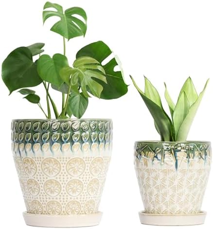 Ceramic Planter Pots for Indoor Plants, 8Inch + 6 Inch Plant Pot with Drainage Holes, Saucers and Mesh Pads, Succulent Orchid Flower Pot -Set of 2 by YFFSRJDJ