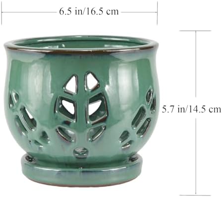 W&W Orchid Pot with Holes and Saucer for Repotting, Green, 6.5" - Image 6