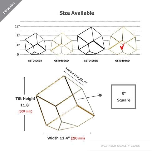 WGV Geometric Planter Terrarium, Width 11.5" Height 12" Clear Glass Gold Frame DIY Succulent air Plant Miniature Fairy Garden Windowsill Tabletop Decor, Tilted Cube 1 Piece - Image 2