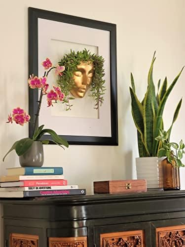 Face Wall Planter | 7 Colors Available | Unique Head Planter for Indoor Wall Decor | Perfect as a Succulent Wall Planter or Cactus Planter - Calma Design, Gold - Image 2