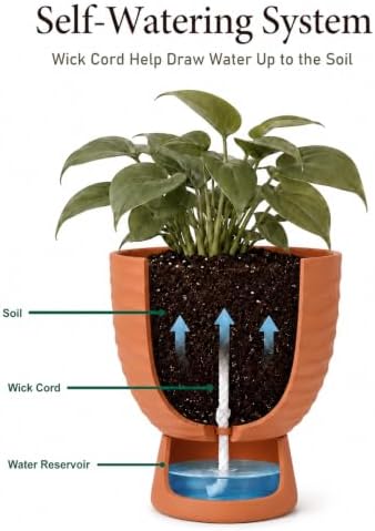 vensovo Terracotta Self Watering Plant Pots, 6 and 8 Inch with Saucers - Image 5
