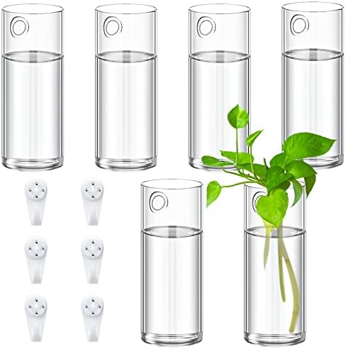 Baderke 6 Pcs Glass Wall Vase for Plants Indoor Hanging Propagation Planter Container Holder with Plastic Invisible Traceless Hangers Hydroponic Plant Succulent Garden Wedding Decor by Baderke