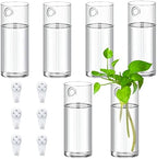 Baderke 6 Pcs Glass Wall Vase for Plants Indoor Hanging Propagation Planter Container Holder with Plastic Invisible Traceless Hangers Hydroponic Plant Succulent Garden Wedding Decor by Baderke