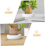 UPKOCH 4sets Plant Saucer Ceramic Plant Pot Trays Heavy Duty Drip Trays Indoor Set 2pcs*4 - Image 3