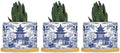 Chinoiserie Blue Asian Ceramic Planters Chinoiserie Chic Asian Snake Plant Live Indoor with Pot with Drainage Holes and Saucers Pot for Home Desktop Office Windowsill by BRUYU5SE