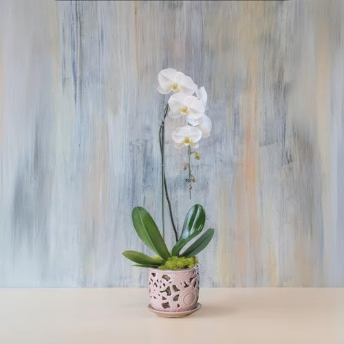 HERDUK Ceramic Orchid Pot, Orchid Pots with Drainage Holes & Saucer 6.5 Inch,Orchid Pot for Repotting Indoor, Orchid Containers with Precise Aeration & Drainage - Image 4