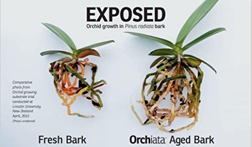 Orchiata Orchid Bark | 100% Pure New Zealand Pinus Radiata | Power Plus 1/2" to 3/4" Organic Potting Bark for Aeration and Longevity - Image 4