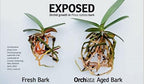 Orchiata Orchid Bark | 100% Pure New Zealand Pinus Radiata | Power Plus 1/2" to 3/4" Organic Potting Bark for Aeration and Longevity - Image 4