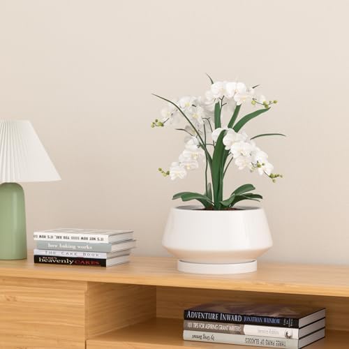 10 Inch White Ceramic Planter with Drainage Hole and Saucer - Image 6