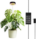 Height Adjustable Grow Light for Indoor Potted Plants, Full Spectrum Plant Light with Fan, Metal Pole Stake Growing Lamp, CRI 90+, 2/4/8/12H Timer, Ideal for Tall Plants & Succulents 1 Pack by Unknown
