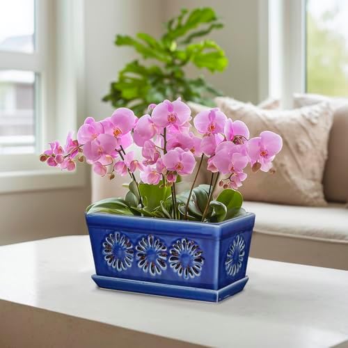 EFISPSS 10 Inch Orchid Pot, Ceramic Orchid Pots with Holes, Indoor Flower pots with Drainage and Saucer, Plant Pots Enhance Good Ventilation - Blue - Image 3