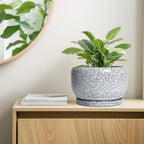 SQOWL Ceramic Planters - 10 Inch Ceramic Flower Pot with Drainage Hole and Saucer, Decorative Plant Pot Indoor, Round Large Planter Outdoor, Bathroom Decor, Gifts for Plant Lovers, Black and White - Image 7