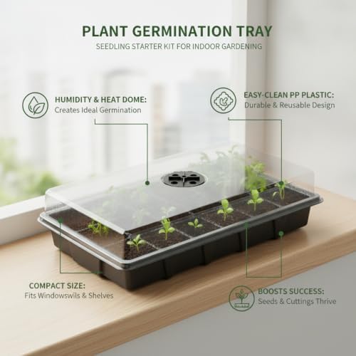 Durable PP Plastic Seedling Tray with Clear Humidity Dome, Propagation Box for Indoor Plant Germination and Cuttings - Image 3