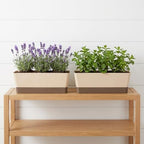 Planter Box with Drainage Holes Windowsill Rectangular 2pcs Plastic - Image 5